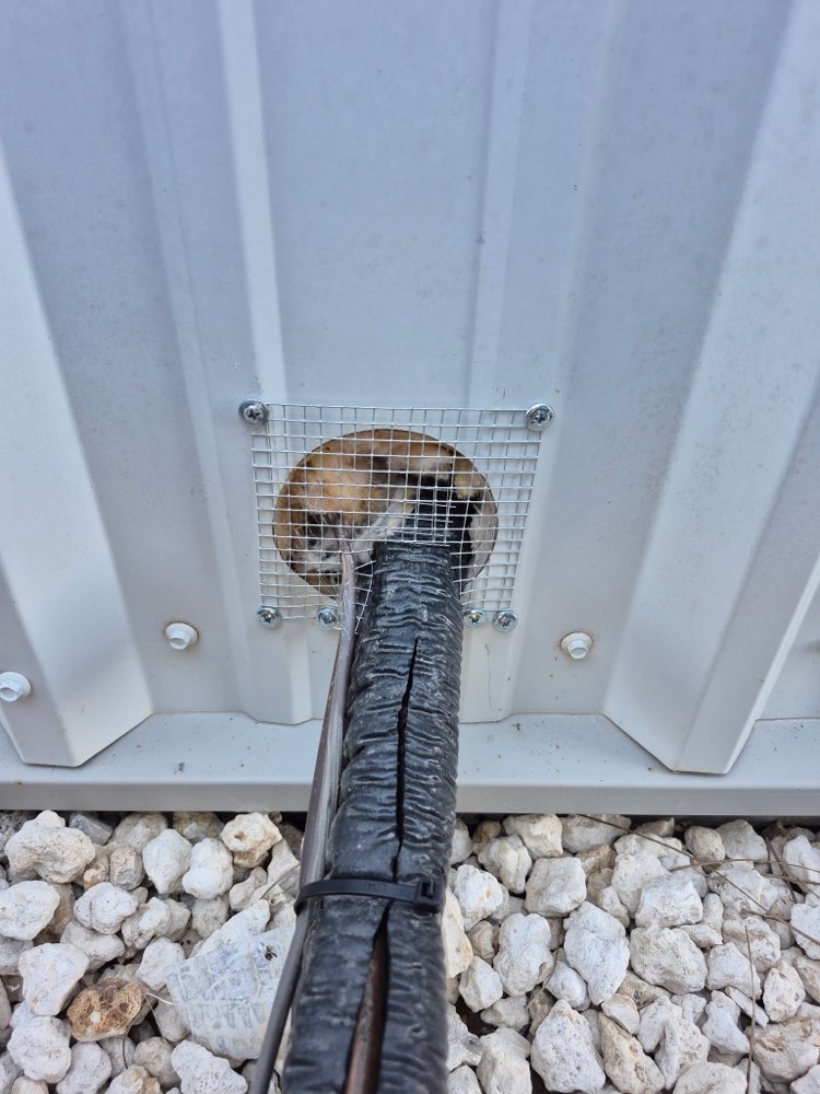 Wire mesh installed around a utility line penetration to keep rodents from entering through the gap where cables enter the structure